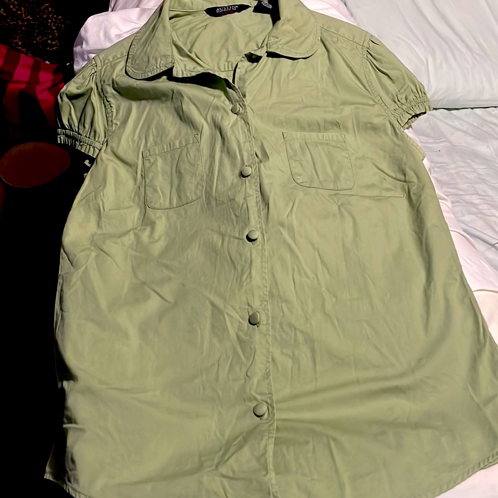 Austin Clothing Co Sage Green Blouse